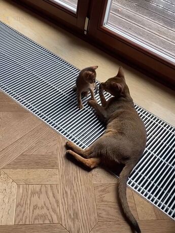 Алюмінієва решітка для внутрішньопідлогового конвектора U-CON в кольорі Сатин